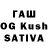 Галлюциногенные грибы Psilocybe Rahaf Jawad